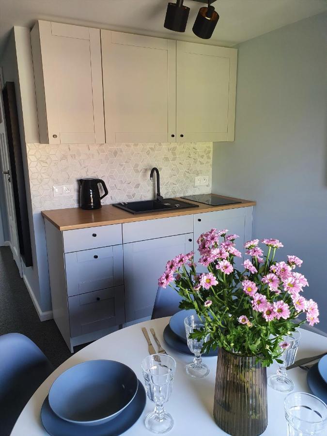 Apartamenty K17 Centrum Malbork Exteriér fotografie